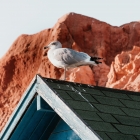 AlgarveCool_Blog_À Ne Pas Manquer Cet Été Dans L'algarve