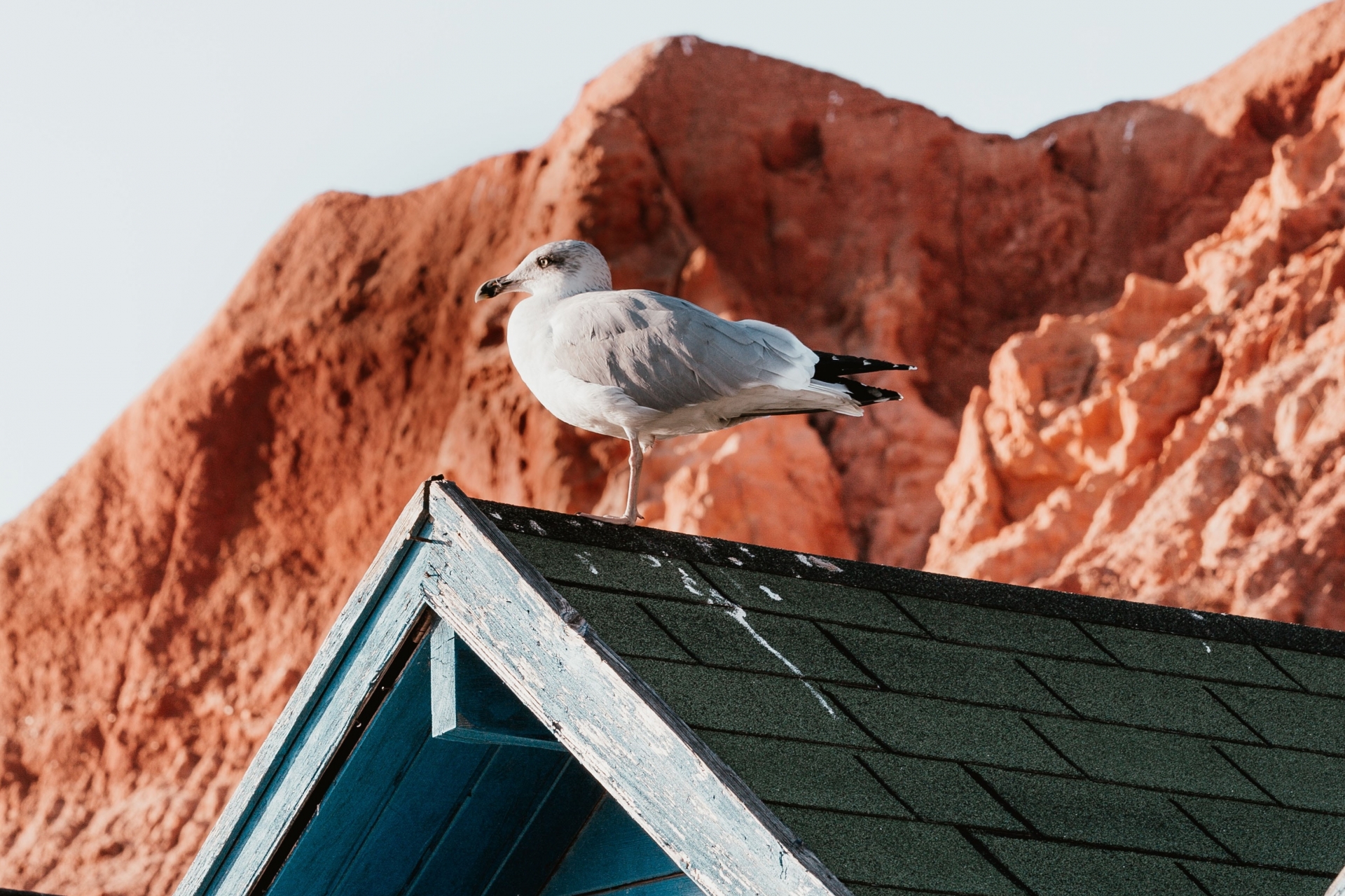 AlgarveCool_Blog_O que não pode perder este Verão no Algarve