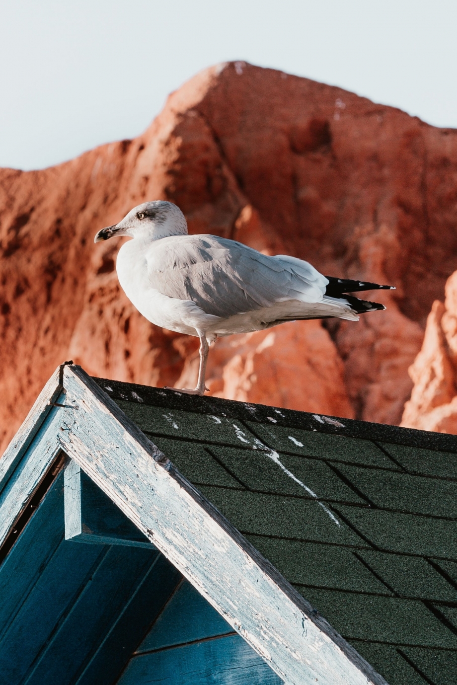 AlgarveCool_Blog_O que não pode perder este Verão no Algarve AlgarveCool_Blog_O que não pode perder este Verão no Algarve